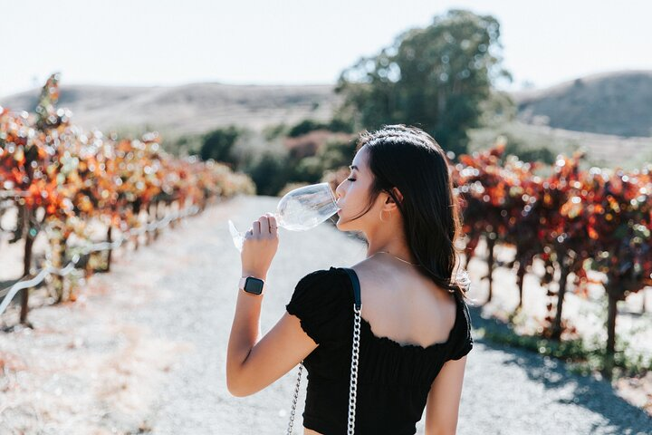 Immerse in the beauty of vineyard landscapes while savoring exquisite wines. Experience the blend of natural wonder and culinary delight in California’s renowned wine country.
